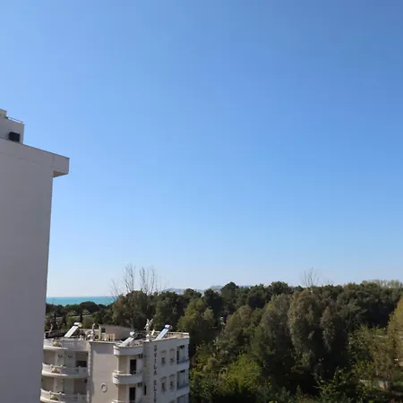Papilio * Durres